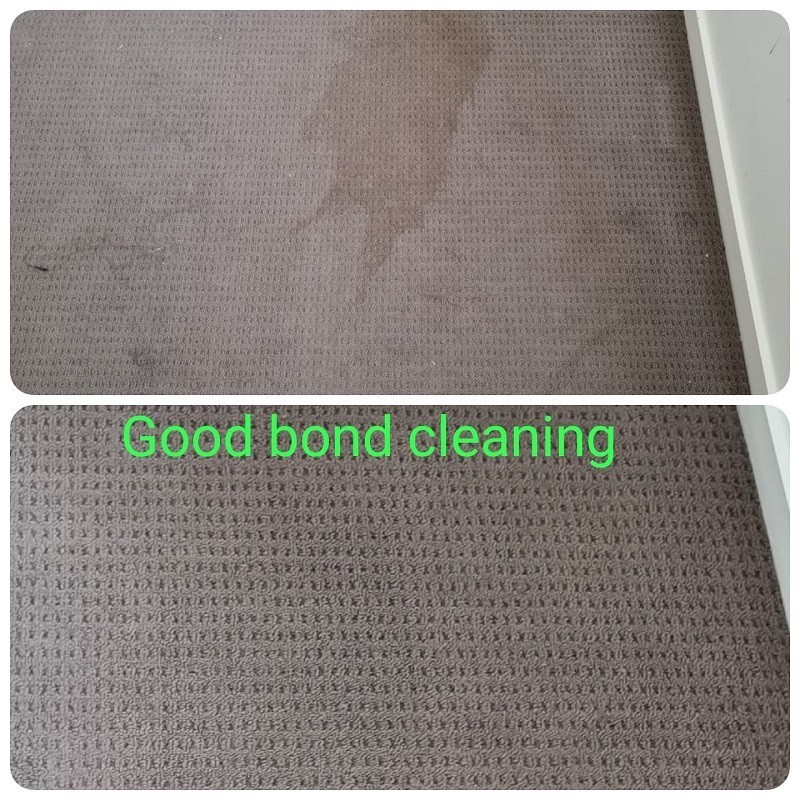Best Carpet cleaning in Brisbane